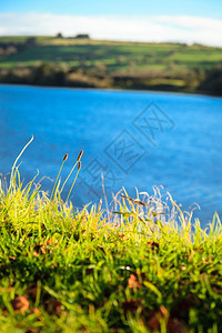 爱尔兰欧洲Cork河平原绿草图片