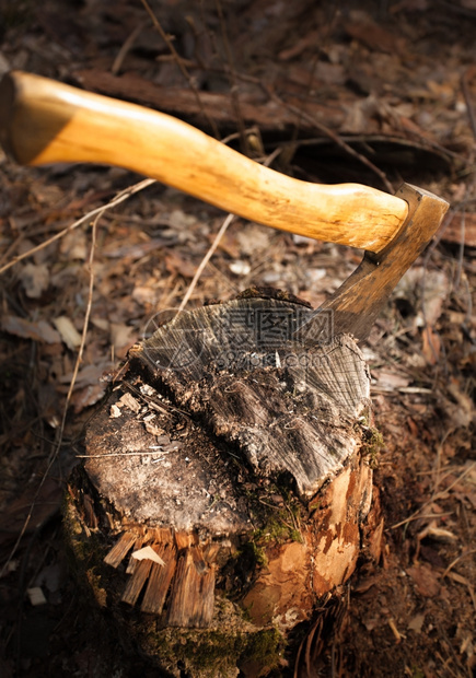 木原中铁斧的照片图片