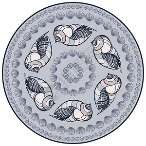 曼达拉由贝壳制成矢量装饰背景图片