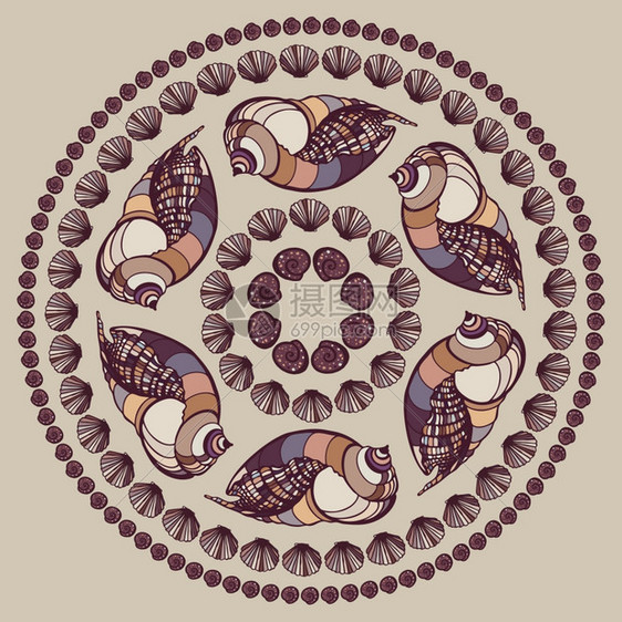 曼达拉由贝壳制成矢量装饰背景图片
