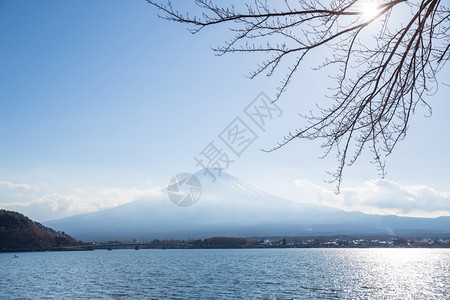 日本Yamaashi山川口果湖的藤福三山图片