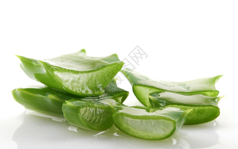 白上隔离的Aloevera植物高清图片