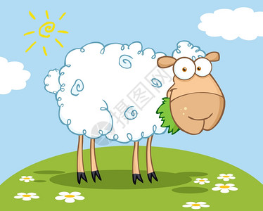 国内信用证在山上吃草的白色羊卡通字符插画