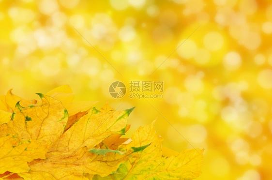 秋季图片