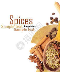 白上孤立的Spice边框图片