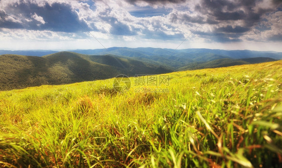 山中美丽的夏日风景蓝天空云布兹扎迪波兰图片