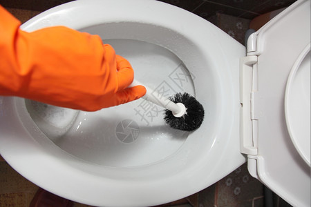 女人用刷子橙色橡皮手套洗马桶碗干净你的房子图片