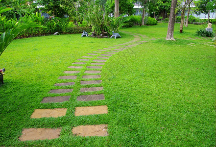绿色化背景带草的花园石路背景