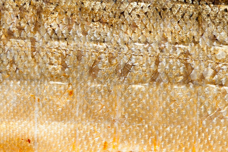 银色的鲑鱼大型皮作为食物动背景纹理图片