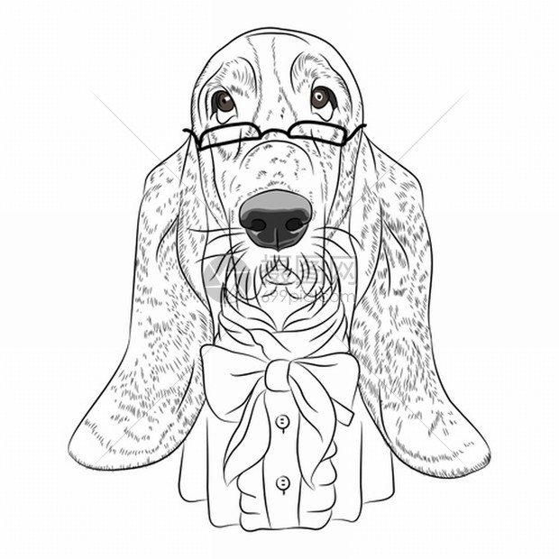 戴眼镜和领结的海狗品种插画图片下载-正版图片303950429-摄图网