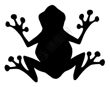 青蛙黑色轮光灯图片