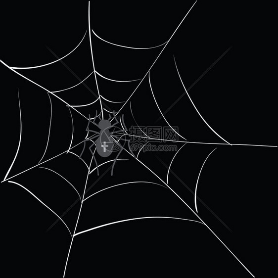 用于设计的网上蜘蛛插图图片