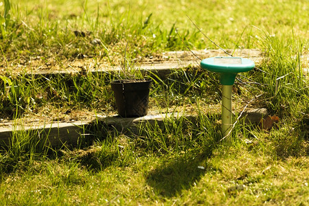 园艺绿草上撒洒药灌溉系统花园里浇水技术图片
