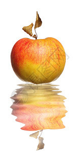 红黄苹果有干叶在白底孤立的水中反射背景图片