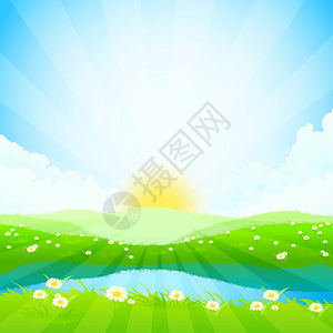 蓝天白云下的绿色草地和野花图片