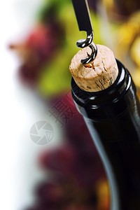 酒和葡萄木本底图片
