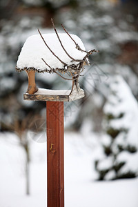 雪地花园冬天风景图片