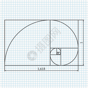 黄金螺旋分割线插画