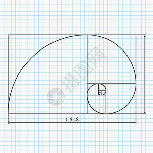 黄金螺旋分割线图片