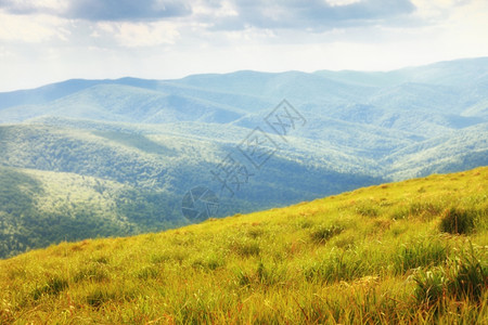 山中美丽的夏日风景蓝天空云布兹扎迪波兰图片