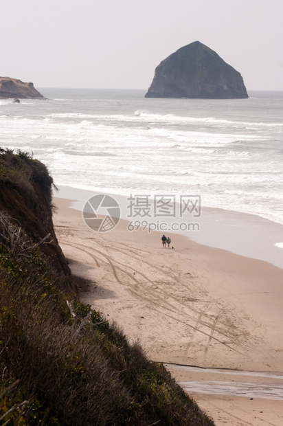 一对夫妇沿西海岸太平洋走狗图片