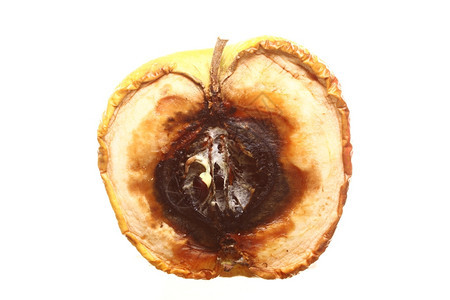 腐烂恶心的苹果在白色背景上被隔绝食物浪费图片