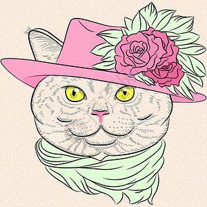 粉红色帽子穿着便帽和绿围巾的有趣英国猫女肖像插画