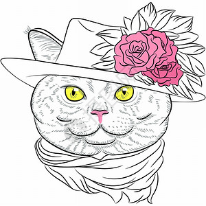 穿着便帽和围巾的有趣英国猫女肖像图片
