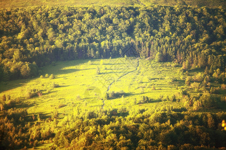 波兰Bieszczady山的青绿美丽夏季风景图片