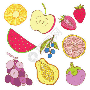水果矢量插图图片