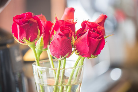 花瓶中闪亮的红玫瑰股票照片图片