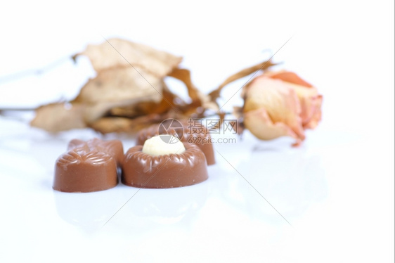 巧克力和白底玫瑰图片