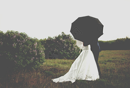 公园黑伞下新娘和郎的照片背景图片