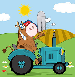 快乐奶牛在农场开着蓝色的拖拉机图片