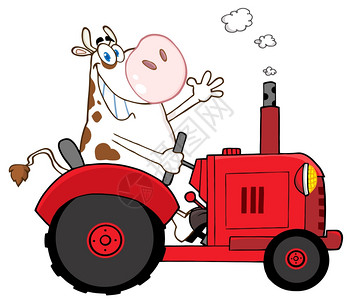 快乐奶牛在农场开着红色的拖拉机图片