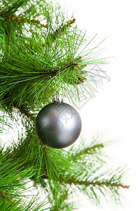 圣诞舞会和fir树图片