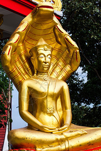 佛祖泰国图片