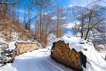 冬季堆叠的木柴图片