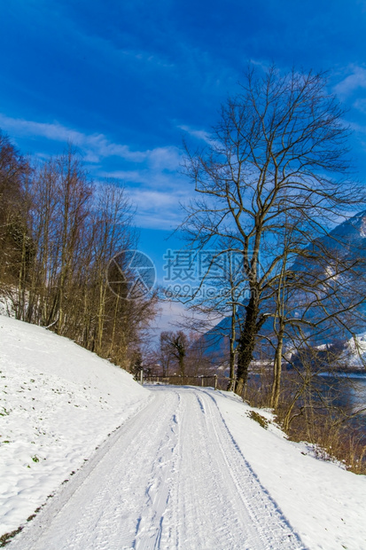 冬季雪路图片