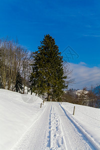 冬季雪路图片