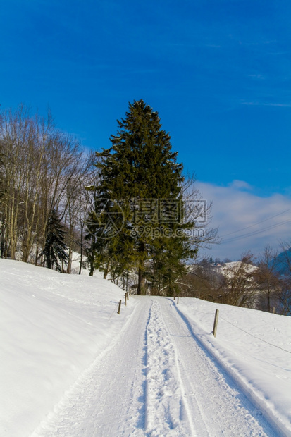 冬季雪路图片