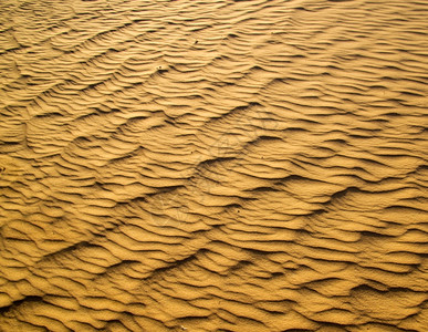 黄金沙漠的质图片