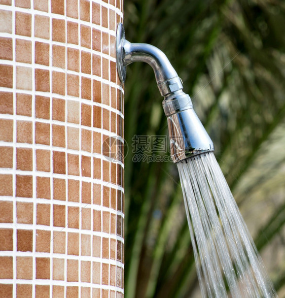 棕榈树下的热带清凉淋浴图片