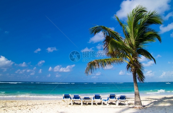 棕榈树下沙滩椅图片
