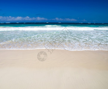 加勒比清洁海滩和热带图片