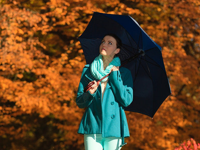 身处户外的秋天公园带着蓝伞散步图片