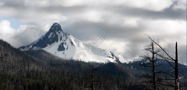 华盛顿山在近日大火后站在云中图片
