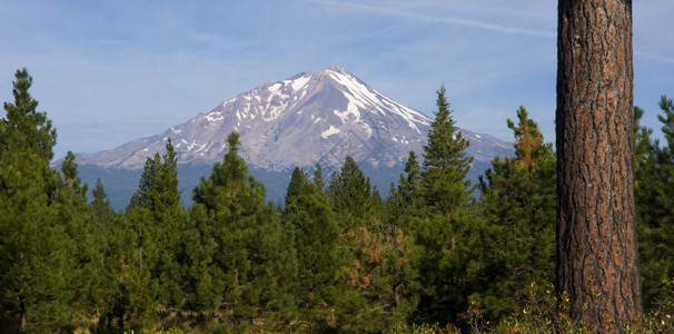 清晨在胡德山基地附近图片