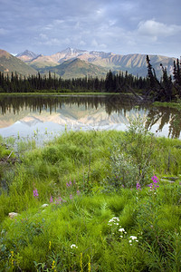 沿Chugach山和阿拉斯加Hwy1号山沿图片