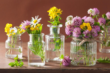 鲜花和瓶装药用鲜花和草背景图片